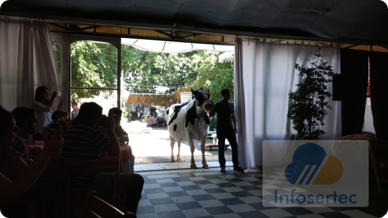 170329-microsoft-agro-9